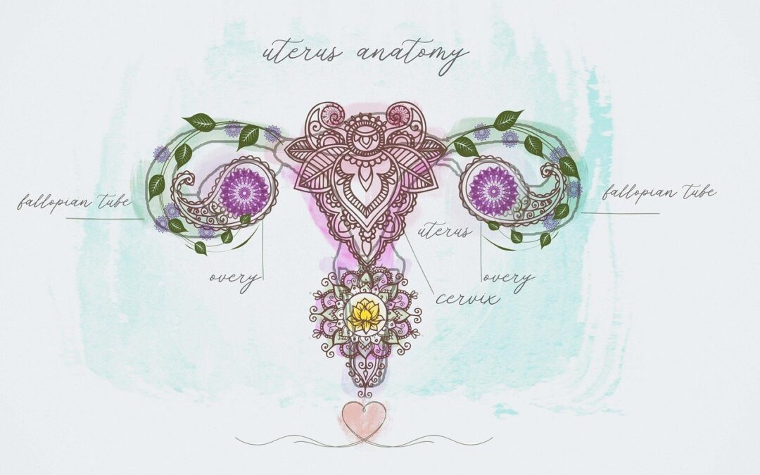 Die Gebärmutter –  Das Zentrum der weiblichen Kraft